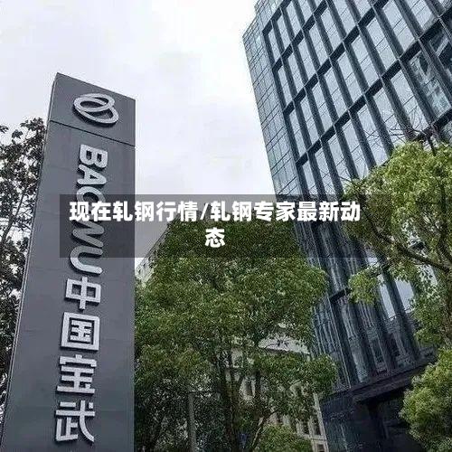 现在轧钢行情/轧钢专家最新动态