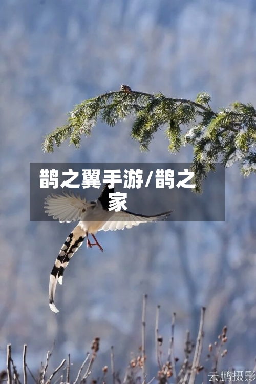 鹊之翼手游/鹊之家-第2张图片