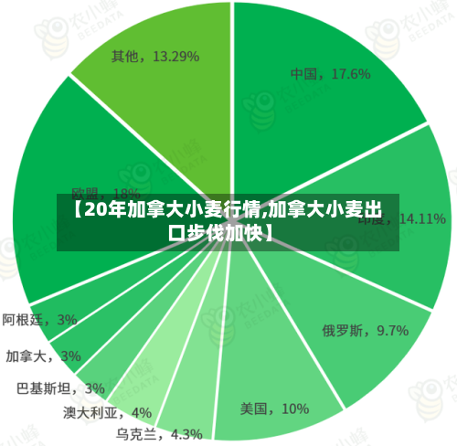 【20年加拿大小麦行情,加拿大小麦出口步伐加快】