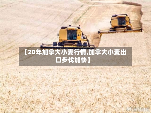 【20年加拿大小麦行情,加拿大小麦出口步伐加快】-第2张图片