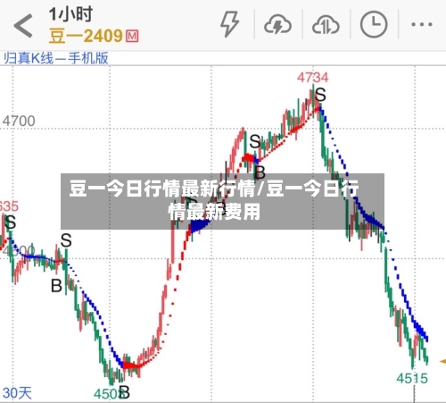 豆一今日行情最新行情/豆一今日行情最新费用-第2张图片
