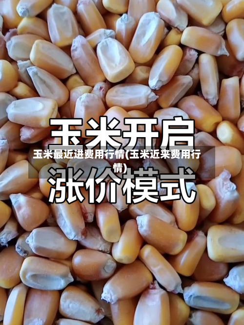 玉米最近进费用行情(玉米近来费用行情)-第2张图片