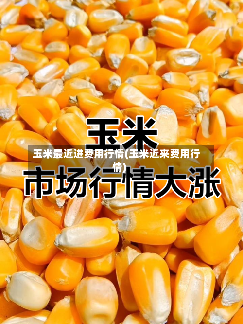 玉米最近进费用行情(玉米近来费用行情)
