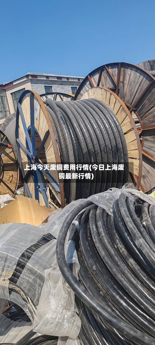 上海今天废铜费用行情(今日上海废铜最新行情)-第2张图片