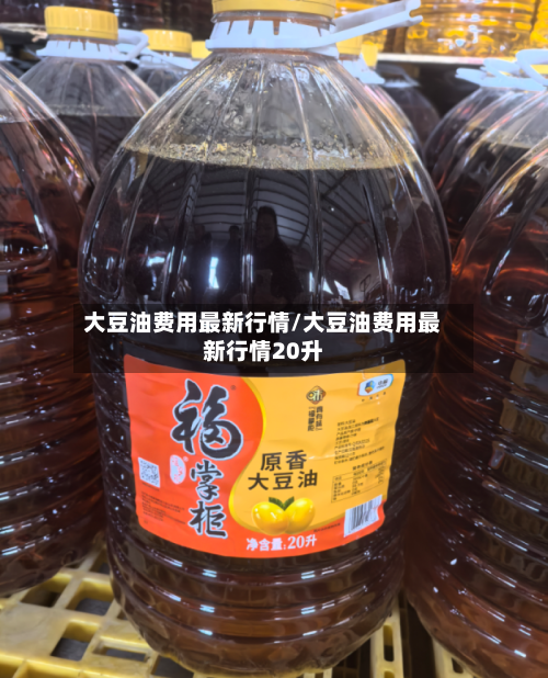 大豆油费用最新行情/大豆油费用最新行情20升