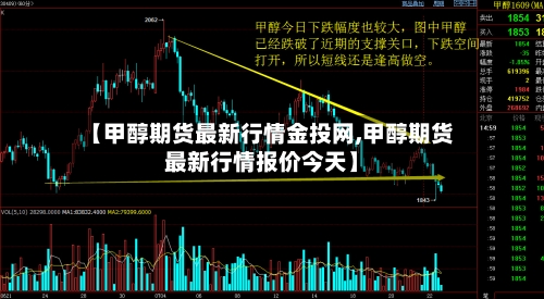 【甲醇期货最新行情金投网,甲醇期货最新行情报价今天】