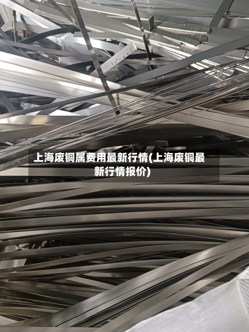 上海废铜属费用最新行情(上海废铜最新行情报价)-第3张图片