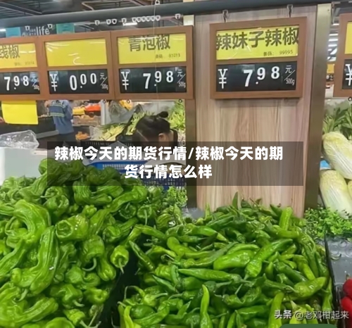 辣椒今天的期货行情/辣椒今天的期货行情怎么样