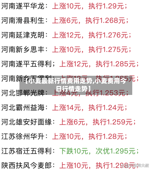 【小麦最新行情费用走势,小麦费用今日行情走势】-第2张图片