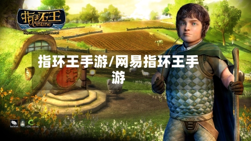 指环王手游/网易指环王手游