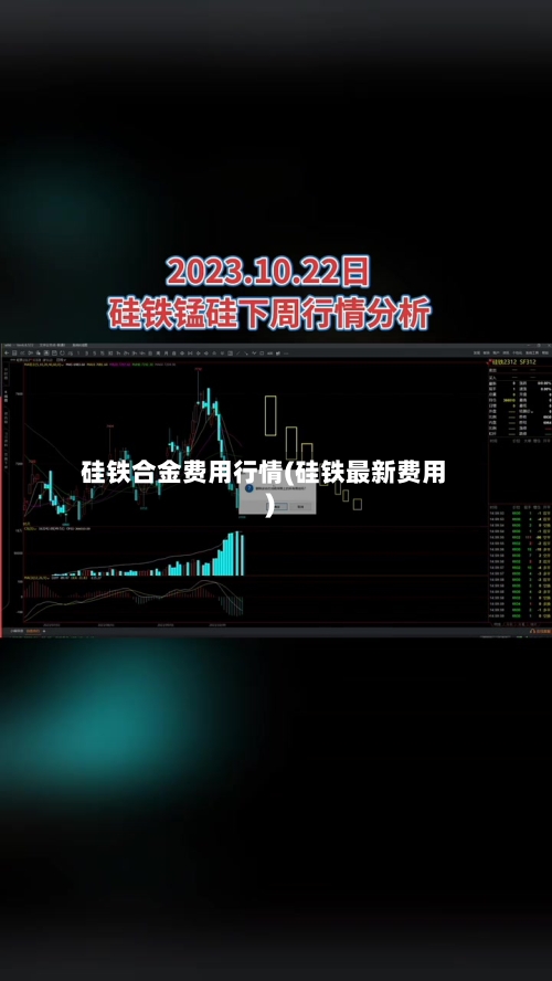 硅铁合金费用行情(硅铁最新费用)