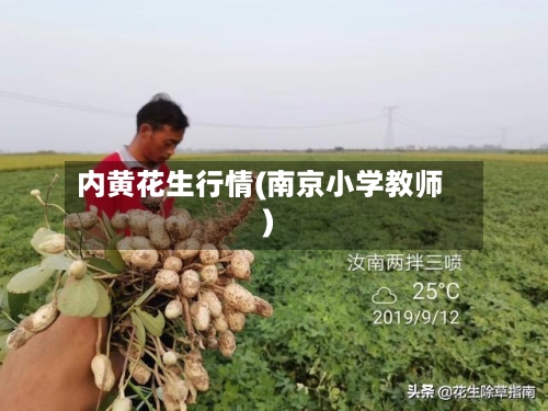 内黄花生行情(南京小学教师)
