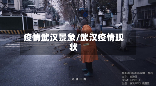 疫情武汉景象/武汉疫情现状-第2张图片
