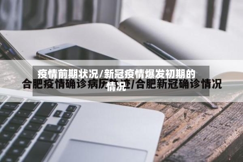 疫情前期状况/新冠疫情爆发初期的情况