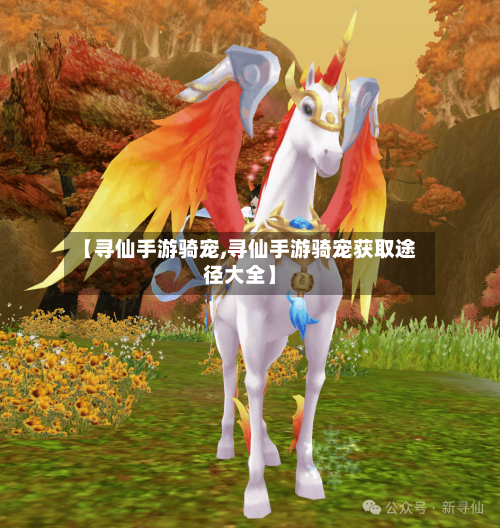 【寻仙手游骑宠,寻仙手游骑宠获取途径大全】-第2张图片