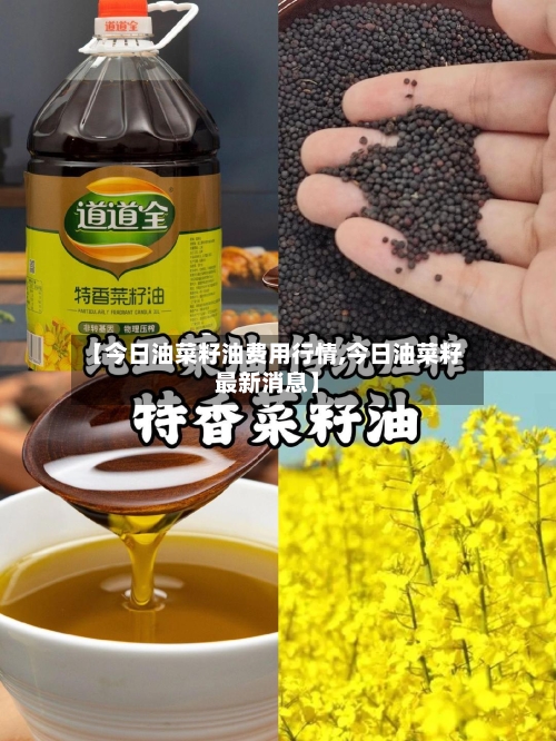 【今日油菜籽油费用行情,今日油菜籽最新消息】-第2张图片