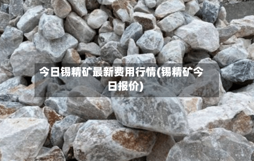 今日锡精矿最新费用行情(锡精矿今日报价)-第2张图片