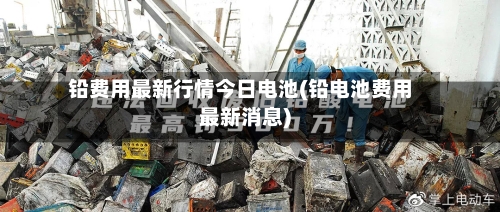 铅费用最新行情今日电池(铅电池费用最新消息)-第2张图片