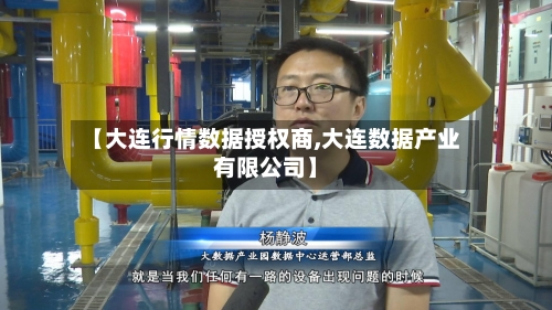 【大连行情数据授权商,大连数据产业有限公司】-第3张图片