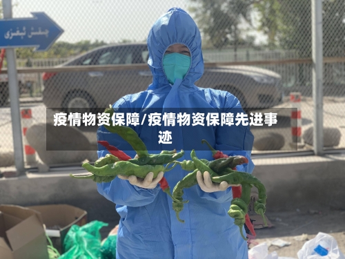 疫情物资保障/疫情物资保障先进事迹