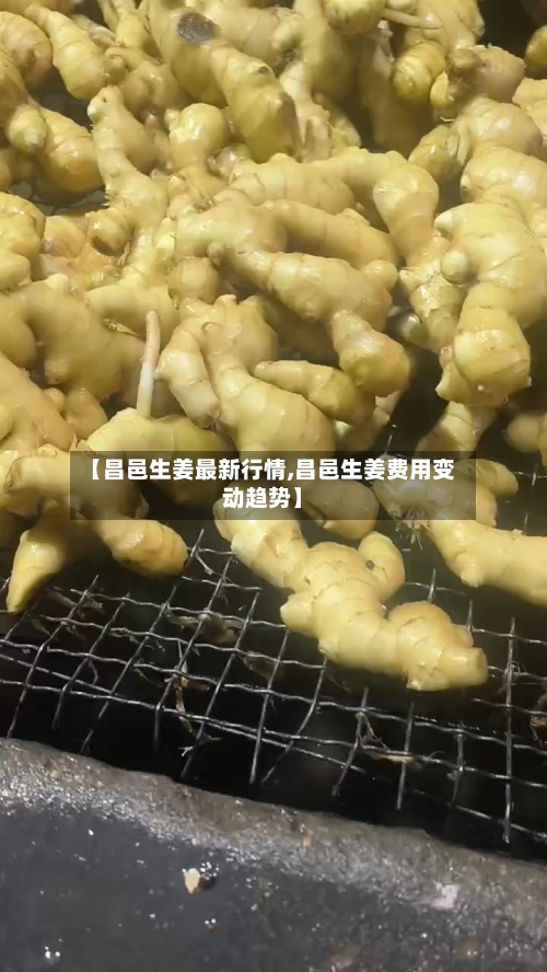 【昌邑生姜最新行情,昌邑生姜费用变动趋势】-第2张图片