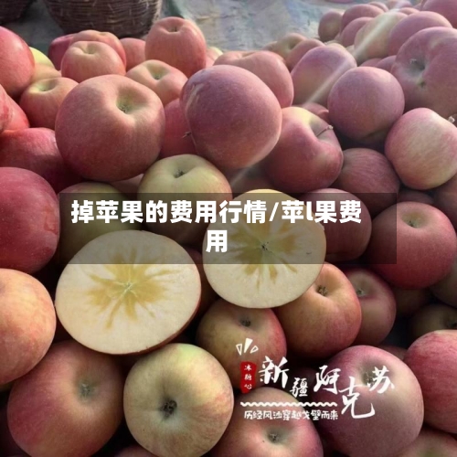 掉苹果的费用行情/苹l果费用