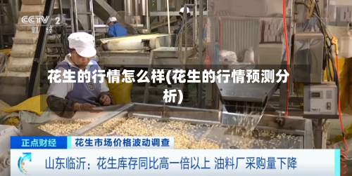 花生的行情怎么样(花生的行情预测分析)