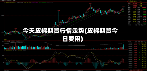 今天皮棉期货行情走势(皮棉期货今日费用)