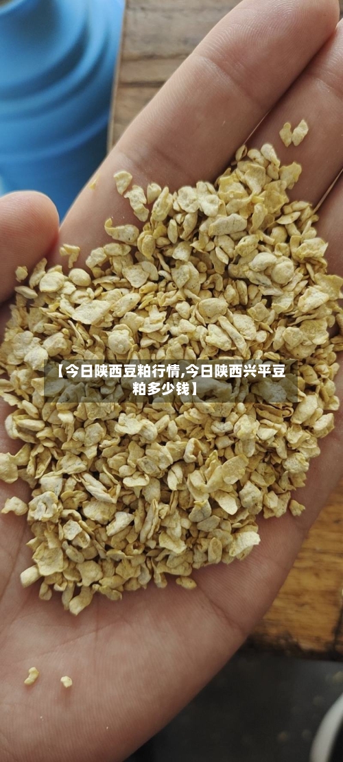 【今日陕西豆粕行情,今日陕西兴平豆粕多少钱】