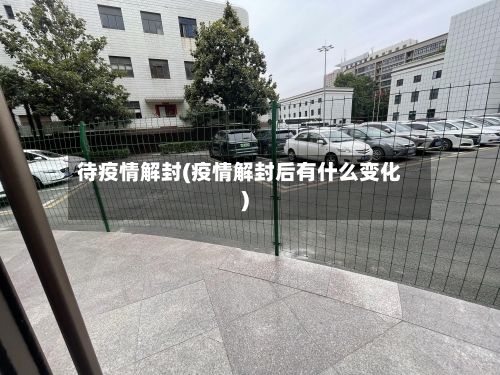待疫情解封(疫情解封后有什么变化)-第2张图片