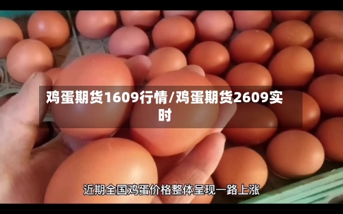 鸡蛋期货1609行情/鸡蛋期货2609实时