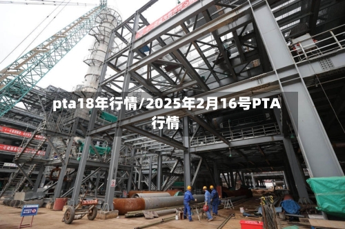 pta18年行情/2025年2月16号PTA行情