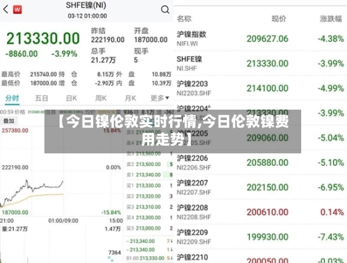 【今日镍伦敦实时行情,今日伦敦镍费用走势】