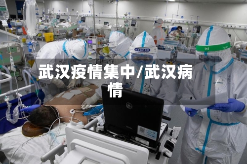 武汉疫情集中/武汉病情