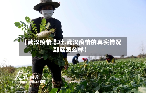 【武汉疫情悲壮,武汉疫情的真实情况到底怎么样】-第2张图片