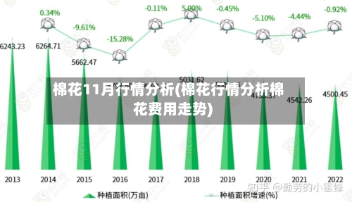 棉花11月行情分析(棉花行情分析棉花费用走势)