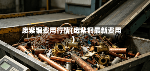 废紫铜费用行情(废紫铜最新费用)-第3张图片