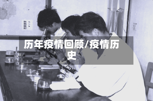 历年疫情回顾/疫情历史-第2张图片