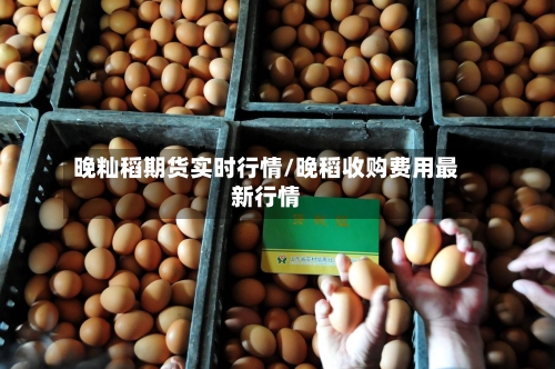 晚籼稻期货实时行情/晚稻收购费用最新行情