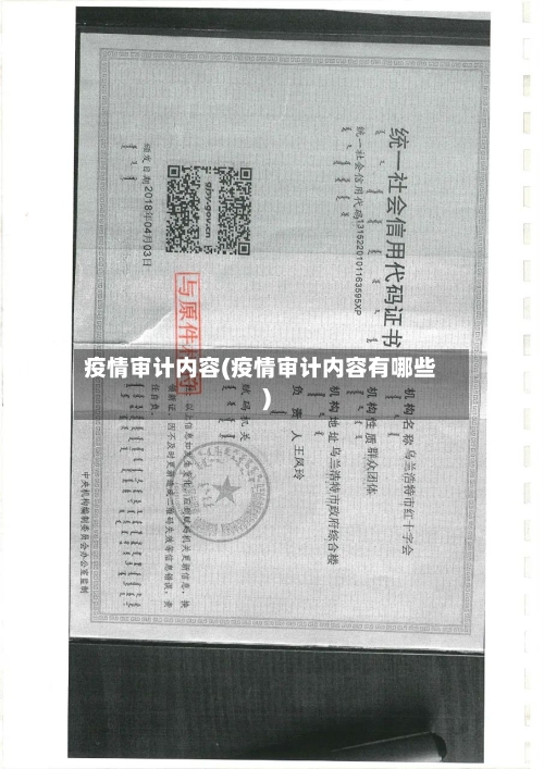 疫情审计内容(疫情审计内容有哪些)-第3张图片