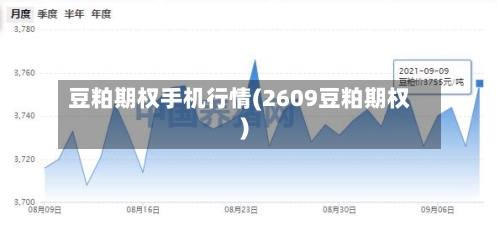 豆粕期权手机行情(2609豆粕期权)-第2张图片