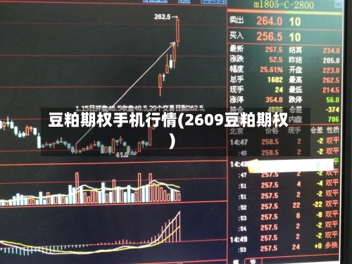 豆粕期权手机行情(2609豆粕期权)