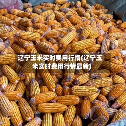 辽宁玉米实时费用行情(辽宁玉米实时费用行情最新)