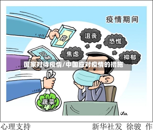 国家对待疫情/中国应对疫情的措施-第3张图片