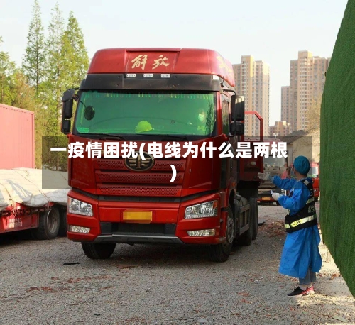 一疫情困扰(电线为什么是两根)-第2张图片