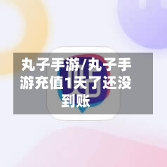 丸子手游/丸子手游充值1天了还没到账-第2张图片