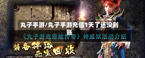 丸子手游/丸子手游充值1天了还没到账-第3张图片