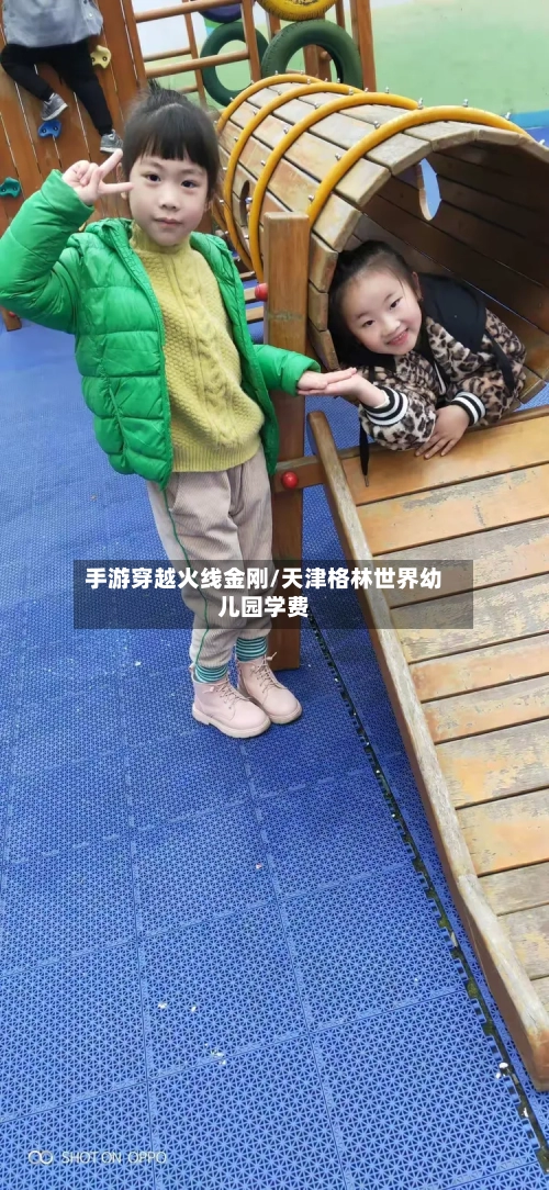 手游穿越火线金刚/天津格林世界幼儿园学费-第3张图片