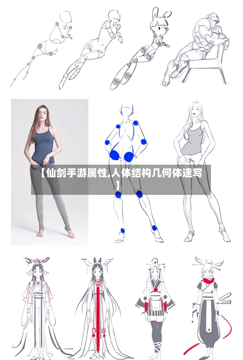 【仙剑手游属性,人体结构几何体速写】-第3张图片