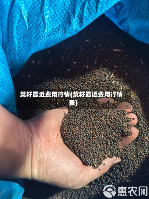 菜籽最近费用行情(菜籽最近费用行情表)-第3张图片